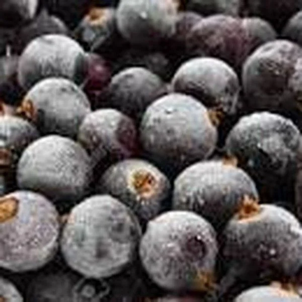 Frozen Black Currant